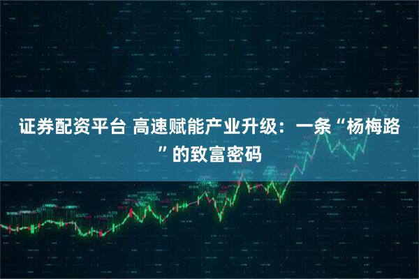 证券配资平台 高速赋能产业升级：一条“杨梅路”的致富密码