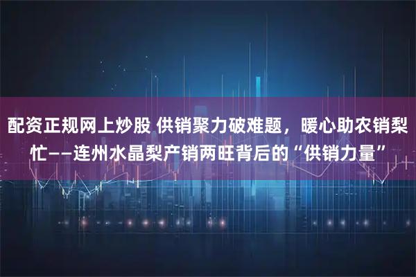 配资正规网上炒股 供销聚力破难题，暖心助农销梨忙——连州水晶梨产销两旺背后的“供销力量”