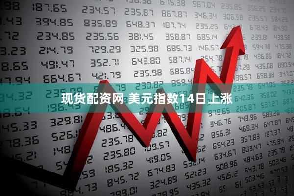 现货配资网 美元指数14日上涨