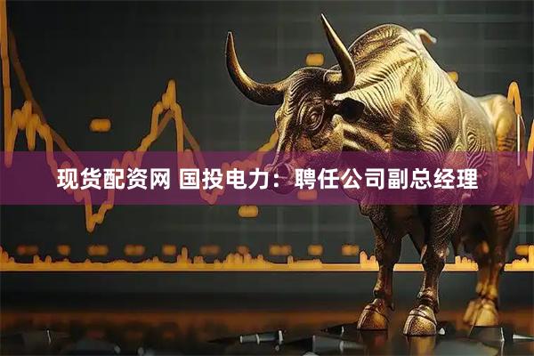 现货配资网 国投电力：聘任公司副总经理